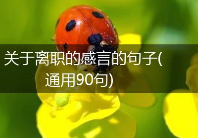关于离职的感言的句子(通用90句)