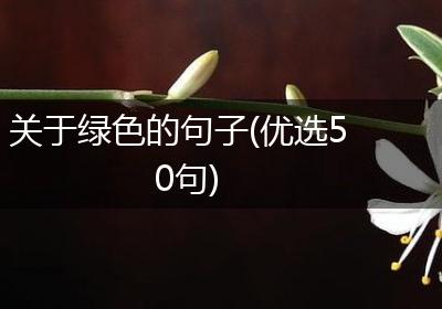 关于绿色的句子(优选50句)