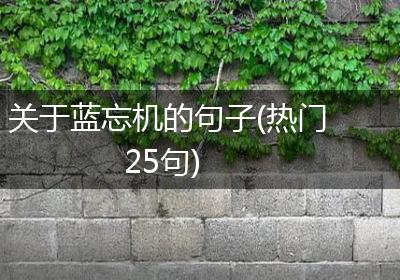 关于蓝忘机的句子(热门25句)