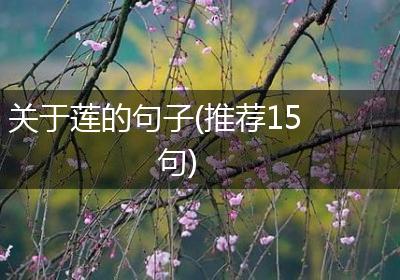 关于莲的句子(推荐15句)