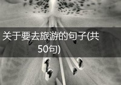 关于要去旅游的句子(共50句)