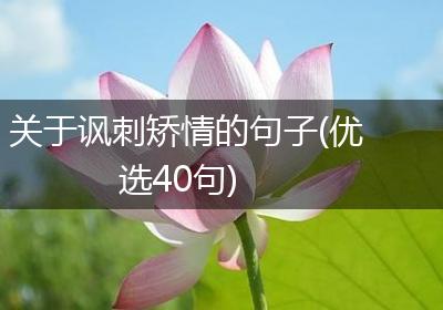关于讽刺矫情的句子(优选40句)