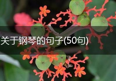 关于钢琴的句子(50句)