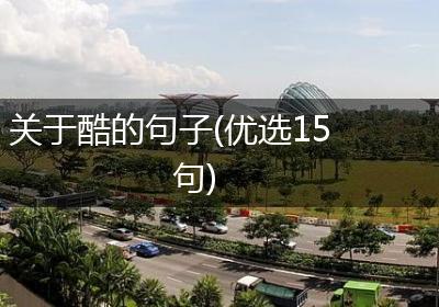 关于酷的句子(优选15句)