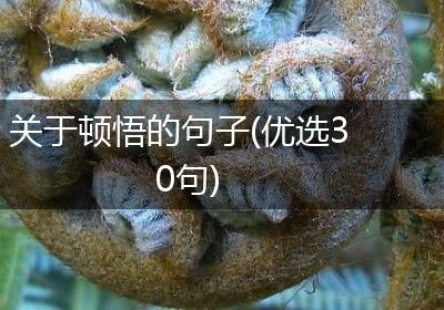 关于顿悟的句子(优选30句)