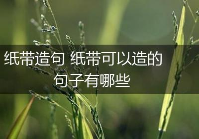 纸带造句 纸带可以造的句子有哪些