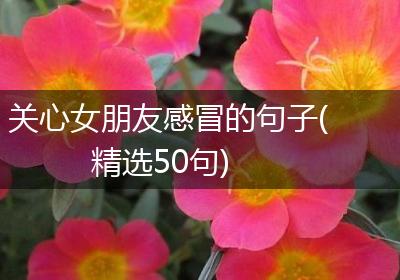 关心女朋友感冒的句子(精选50句)