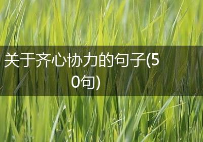 关于齐心协力的句子(50句)