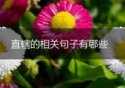 直辖的相关句子有哪些