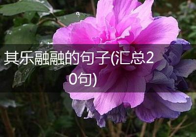 其乐融融的句子(汇总20句)