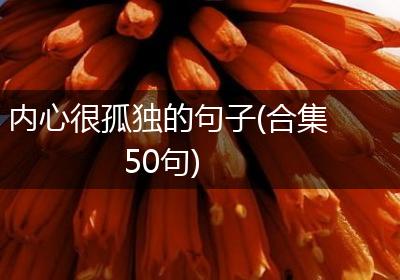 内心很孤独的句子(合集50句)