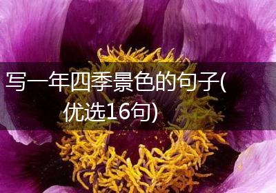 写一年四季景色的句子(优选16句)