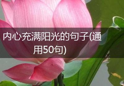 内心充满阳光的句子(通用50句)