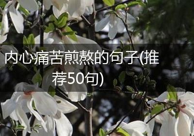 内心痛苦煎熬的句子(推荐50句)