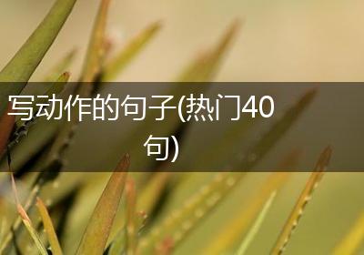 写动作的句子(热门40句)