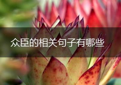 众臣的相关句子有哪些