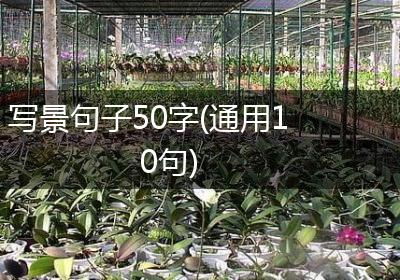 写景句子50字(通用10句)