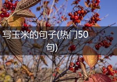 写玉米的句子(热门50句)
