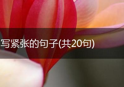 写紧张的句子(共20句)