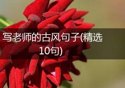 写老师的古风句子(精选10句)