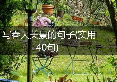 写春天美景的句子(实用40句)