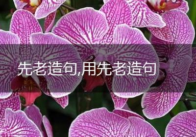 先老造句,用先老造句