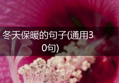 冬天保暖的句子(通用30句)