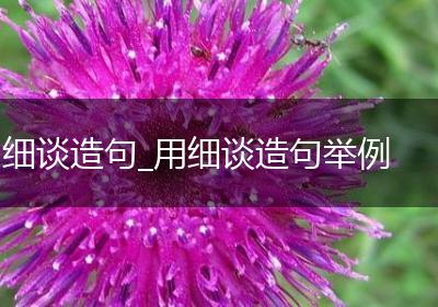 细谈造句_用细谈造句举例
