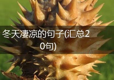 冬天凄凉的句子(汇总20句)
