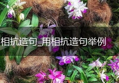 相抗造句_用相抗造句举例