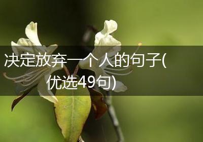 决定放弃一个人的句子(优选49句)