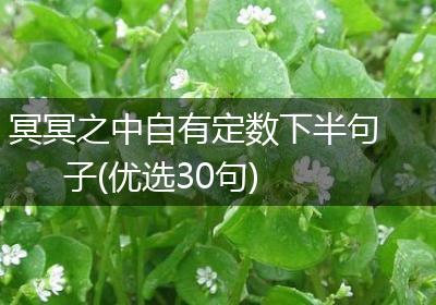 冥冥之中自有定数下半句子(优选30句)