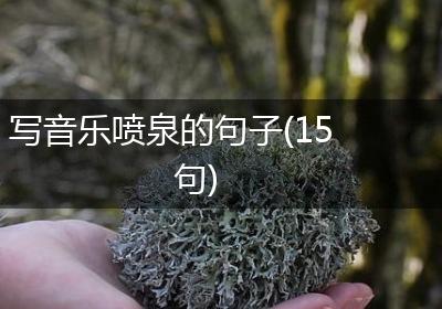 写音乐喷泉的句子(15句)