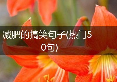 减肥的搞笑句子(热门50句)