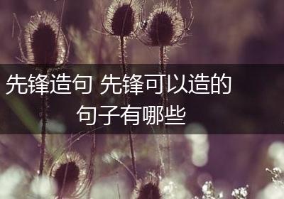 先锋造句 先锋可以造的句子有哪些