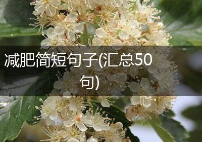 减肥简短句子(汇总50句)