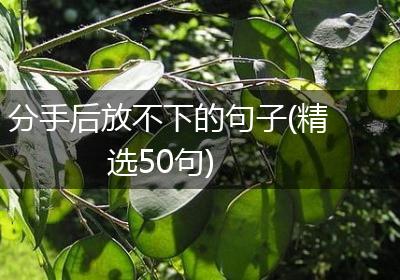 分手后放不下的句子(精选50句)