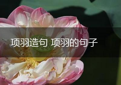 项羽造句 项羽的句子