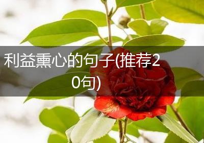 利益熏心的句子(推荐20句)