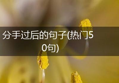 分手过后的句子(热门50句)