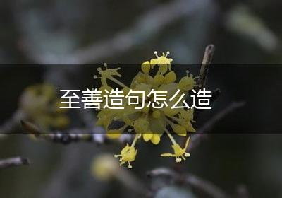 至善造句怎么造