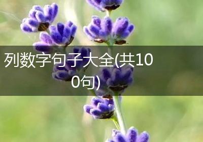 列数字句子大全(共100句)