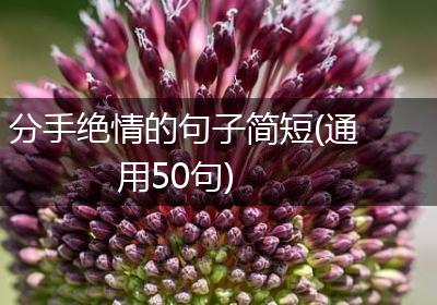 分手绝情的句子简短(通用50句)