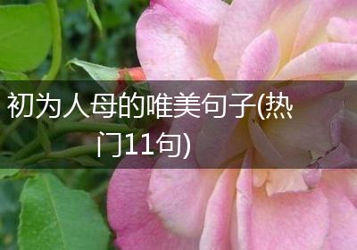 初为人母的唯美句子(热门11句)