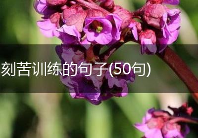 刻苦训练的句子(50句)