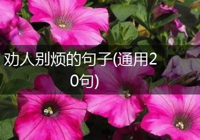 劝人别烦的句子(通用20句)