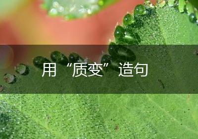 用“质变”造句