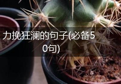 力挽狂澜的句子(必备50句)