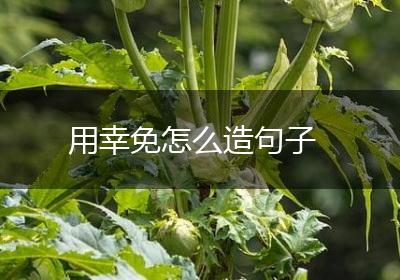 用幸免怎么造句子