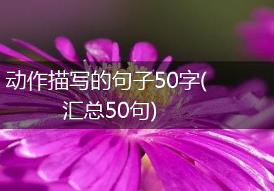 动作描写的句子50字(汇总50句)